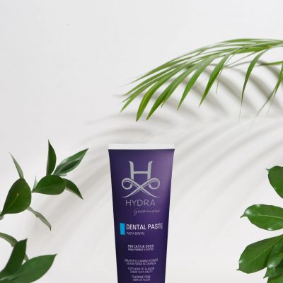 Hydra Dental Paste