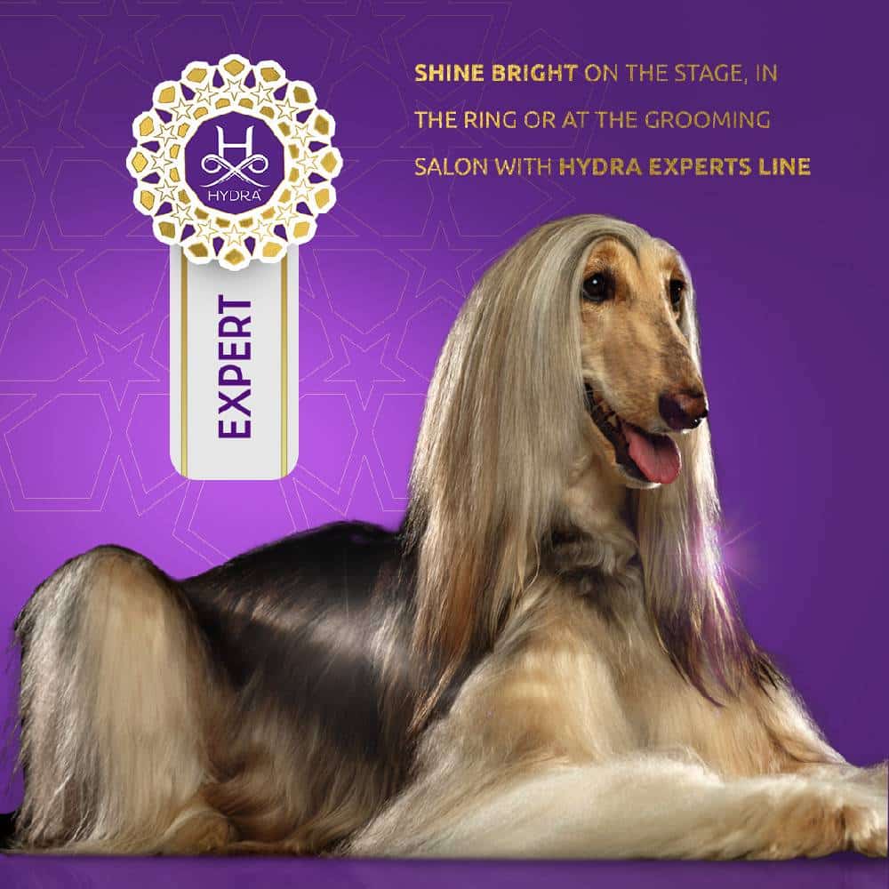 Hydra Expert Oil Redux 8 8oz Deluxe Grooming Salon
